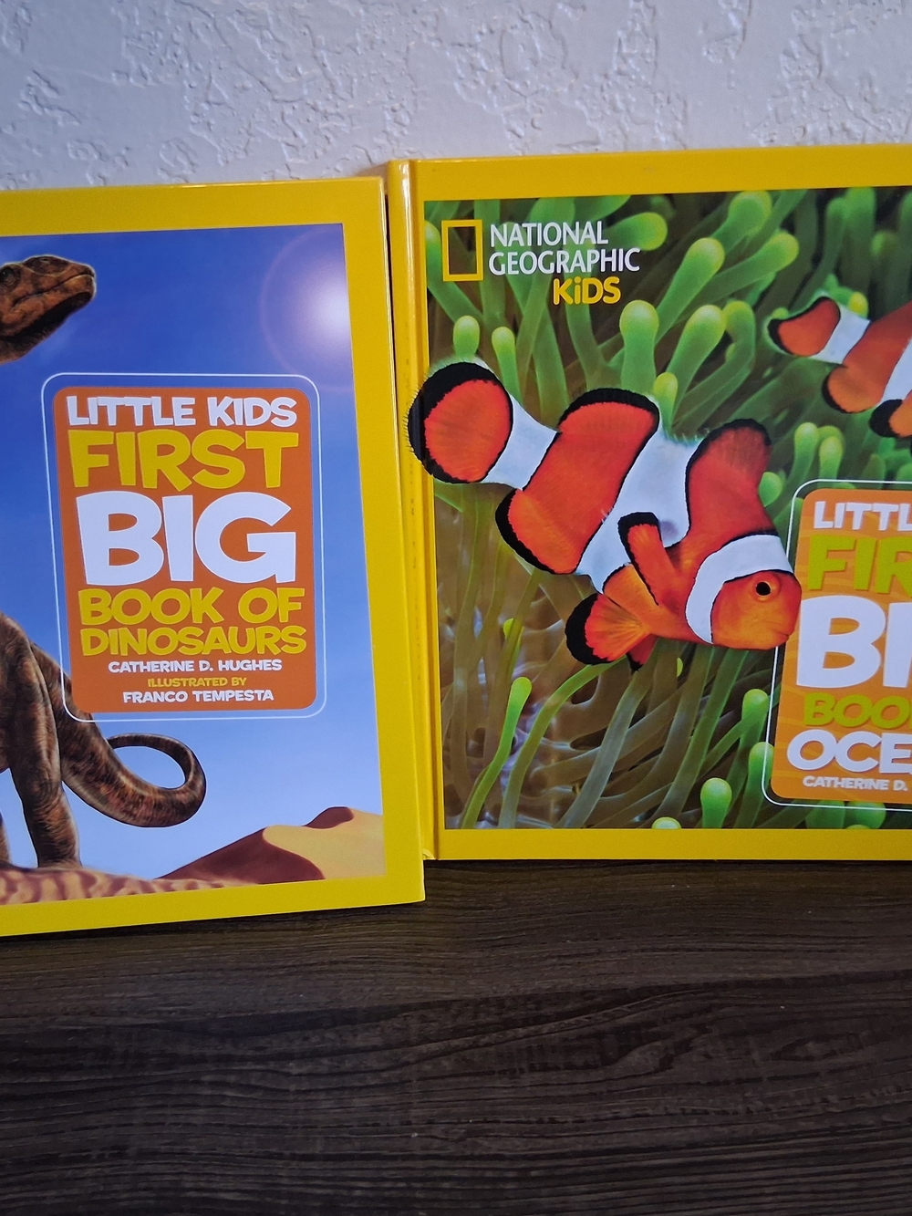 National Geographic Yellow Clownfish Board Book - Little Kids First Big Book